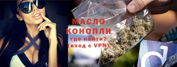 молекула духа Нестеровская