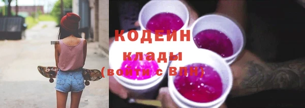 молекула духа Нестеровская