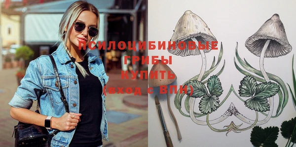 молекула духа Нестеровская