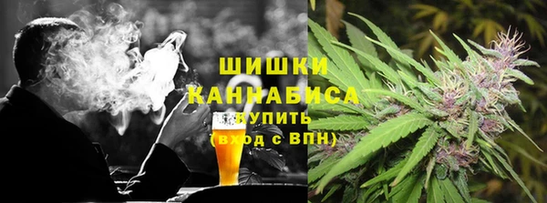 молекула духа Нестеровская