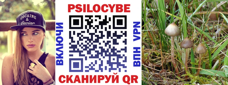 Галлюциногенные грибы прущие грибы  даркнет как зайти  Андреаполь  сколько стоит 